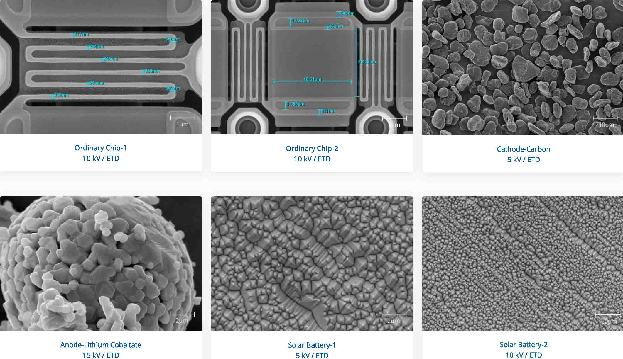 sem microscope price