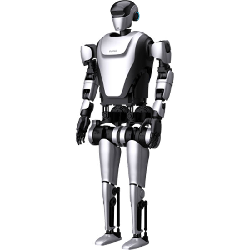 AGI Humanoid Robot